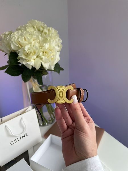Celine Medium Triomphe Belt In Taurillon Leather Brown 66141 фото
