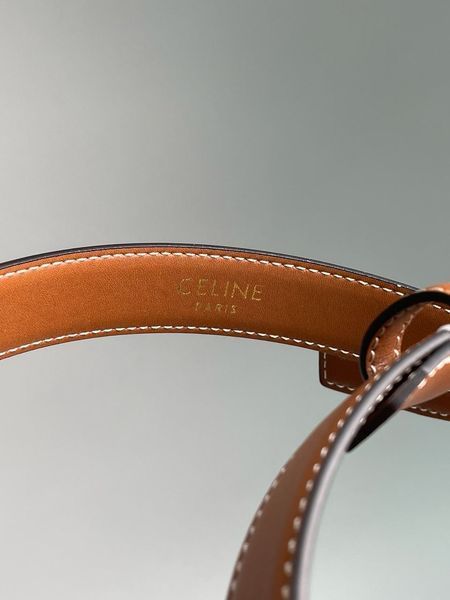Celine Medium Triomphe Belt In Taurillon Leather Brown 66141 фото
