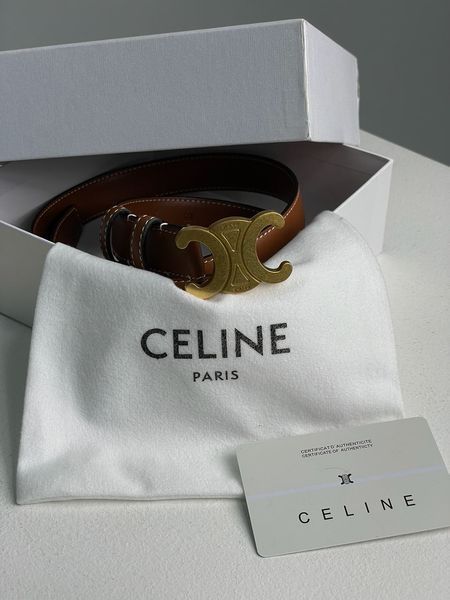 Celine Medium Triomphe Belt In Taurillon Leather Brown 66141 фото