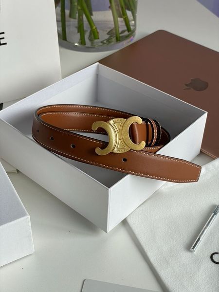 Celine Medium Triomphe Belt In Taurillon Leather Brown 66141 фото