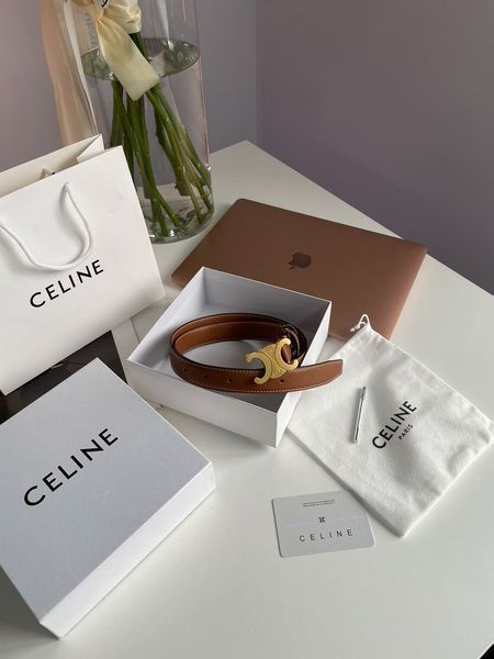 Celine Medium Triomphe Belt In Taurillon Leather Brown 66141 фото