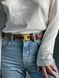Celine Medium Triomphe Belt In Taurillon Leather Brown 66141 фото 1