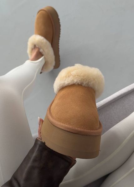 UGG Tazelle Platform Chestnut  1413 фото