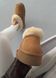 UGG Tazelle Platform Chestnut  1413 фото 3