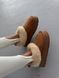 UGG Tazelle Platform Chestnut  1413 фото 6