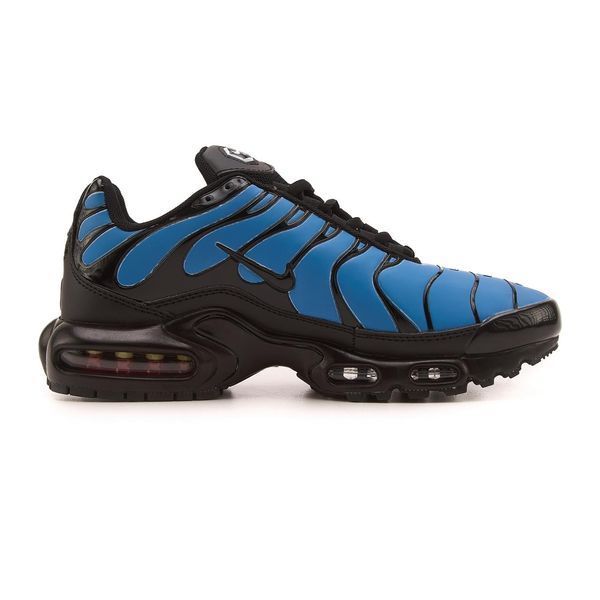 Nike Air Max TN Plus Chameleon Blue  TN47474 фото