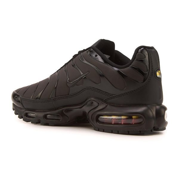 Nike Air Max TN Plus Chameleon Blue  TN47474 фото