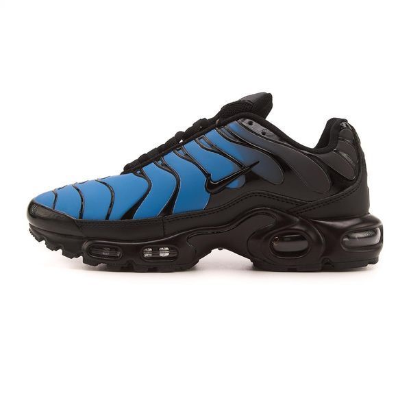 Nike Air Max TN Plus Chameleon Blue  TN47474 фото