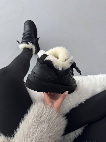 UGG Lowmel Sneakers Black Leather  1464 фото
