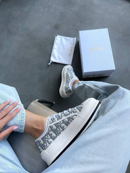 Dior B23 Oblique Low Platform White/Grey Premium  DR0012 фото