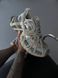 Balenciaga 3XL Extreme Lace Beige 9682 фото 1