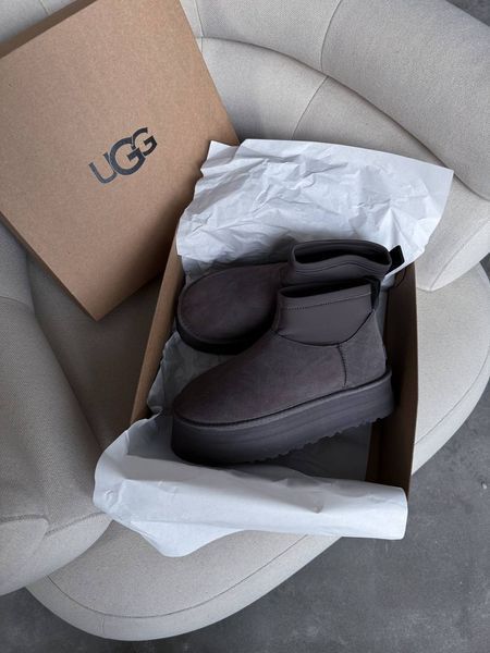 UGG Classic Mini Dipper Grey  1455 фото