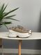 Nike Zoom Vomero Roam Light Bone  ZO4654 фото 1