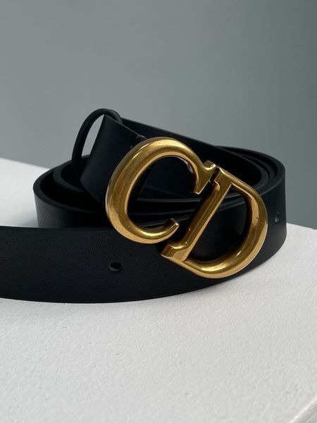 Dior Saddle Belt Black Ultrasmooth Calfskin Gold 66136 фото