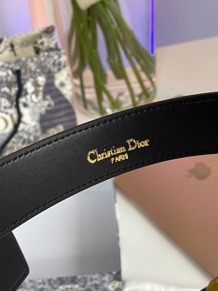 Dior D-Fence Belt Black Smooth Calfskin  66137 фото