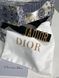 Dior JA-D-Fence Belt Black Smooth Calfskin 66138 фото 2